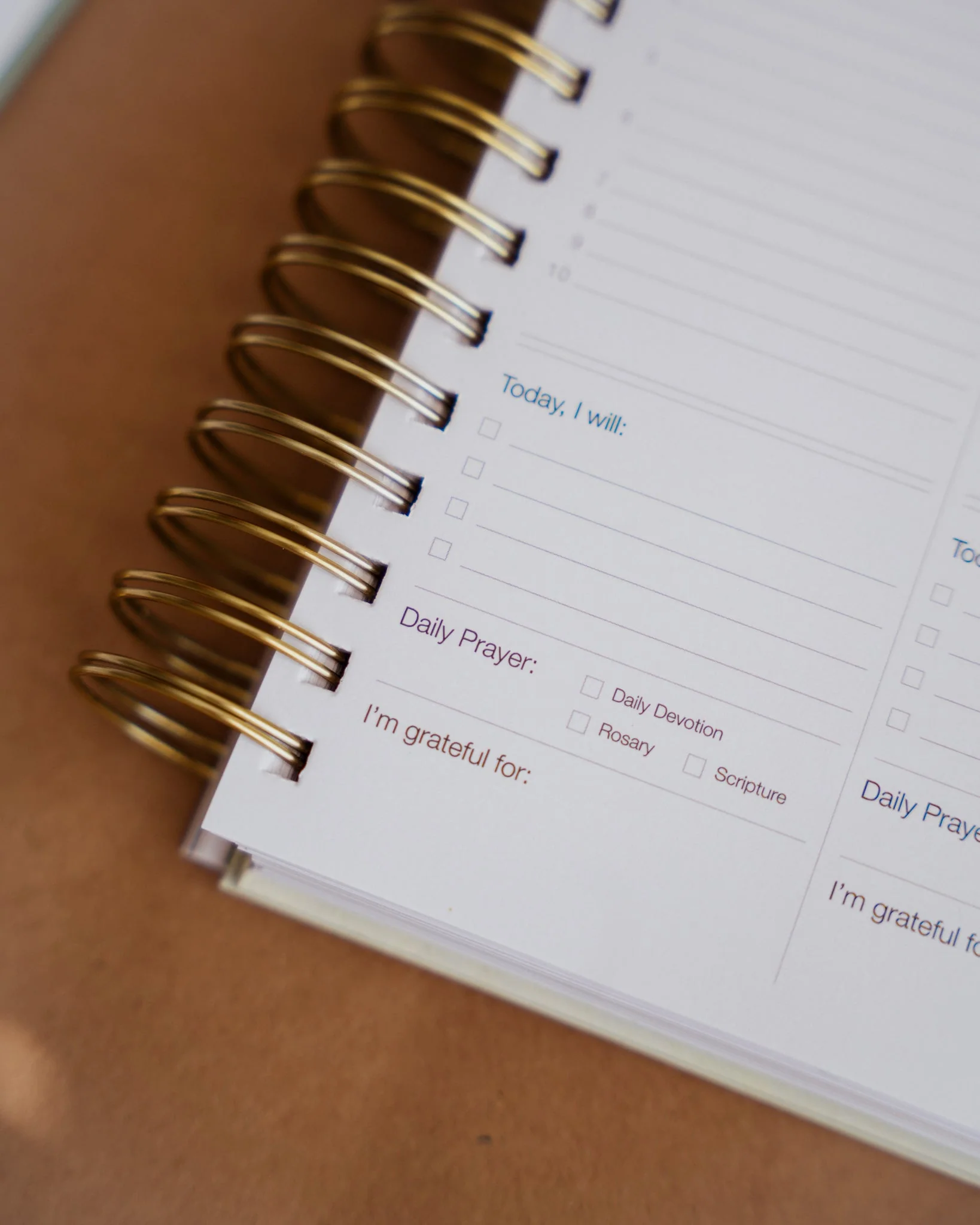 2025 Calendar Year Catholic Liturgical Planner // Big Layout - Image 17