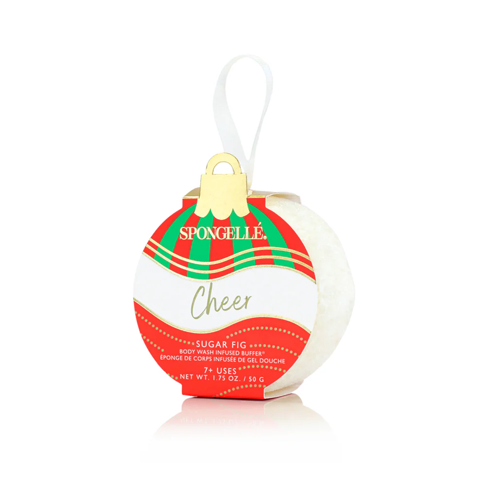 Celebrate the Season | Holiday Ornament Gift Set - Image 5