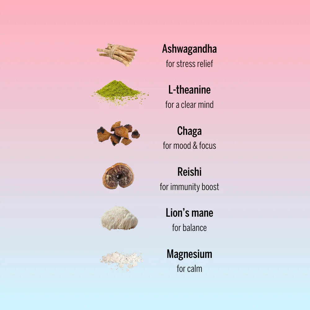 cinnamon cacao day-time blend for focus & energy - Image 3