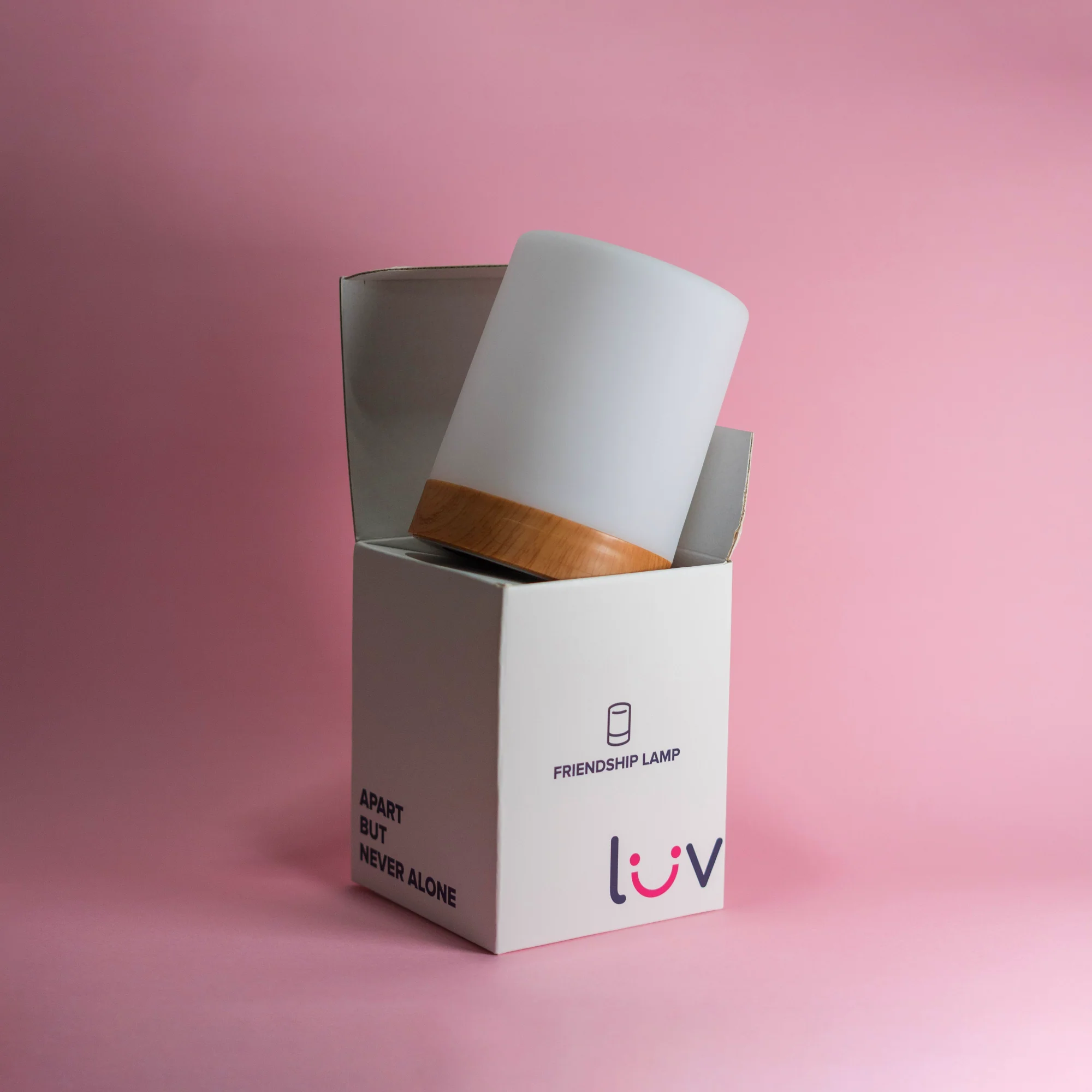 Friendship Lamp - Image 11