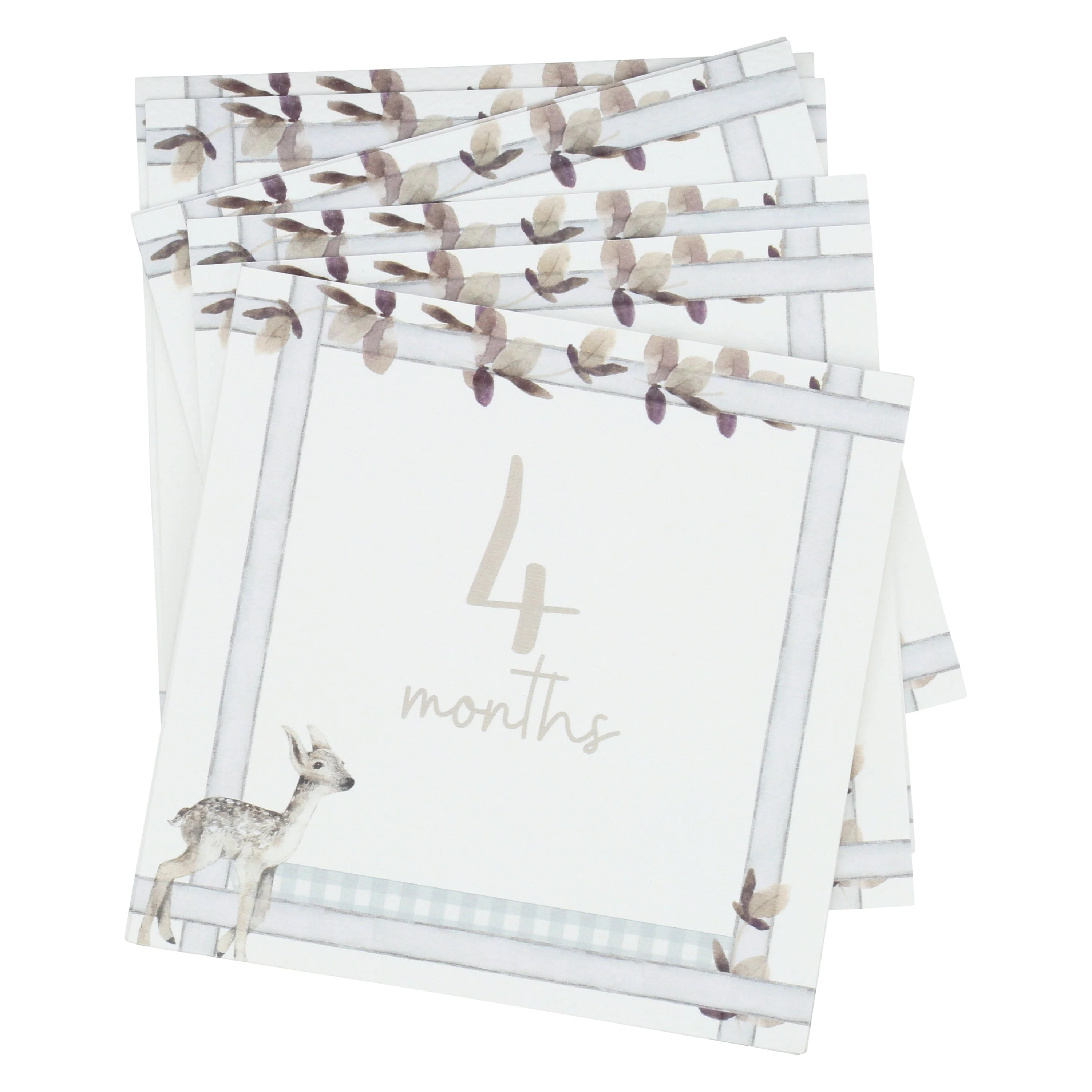 Infant Milestone + Memory Cards (0-12 months) - Image 3