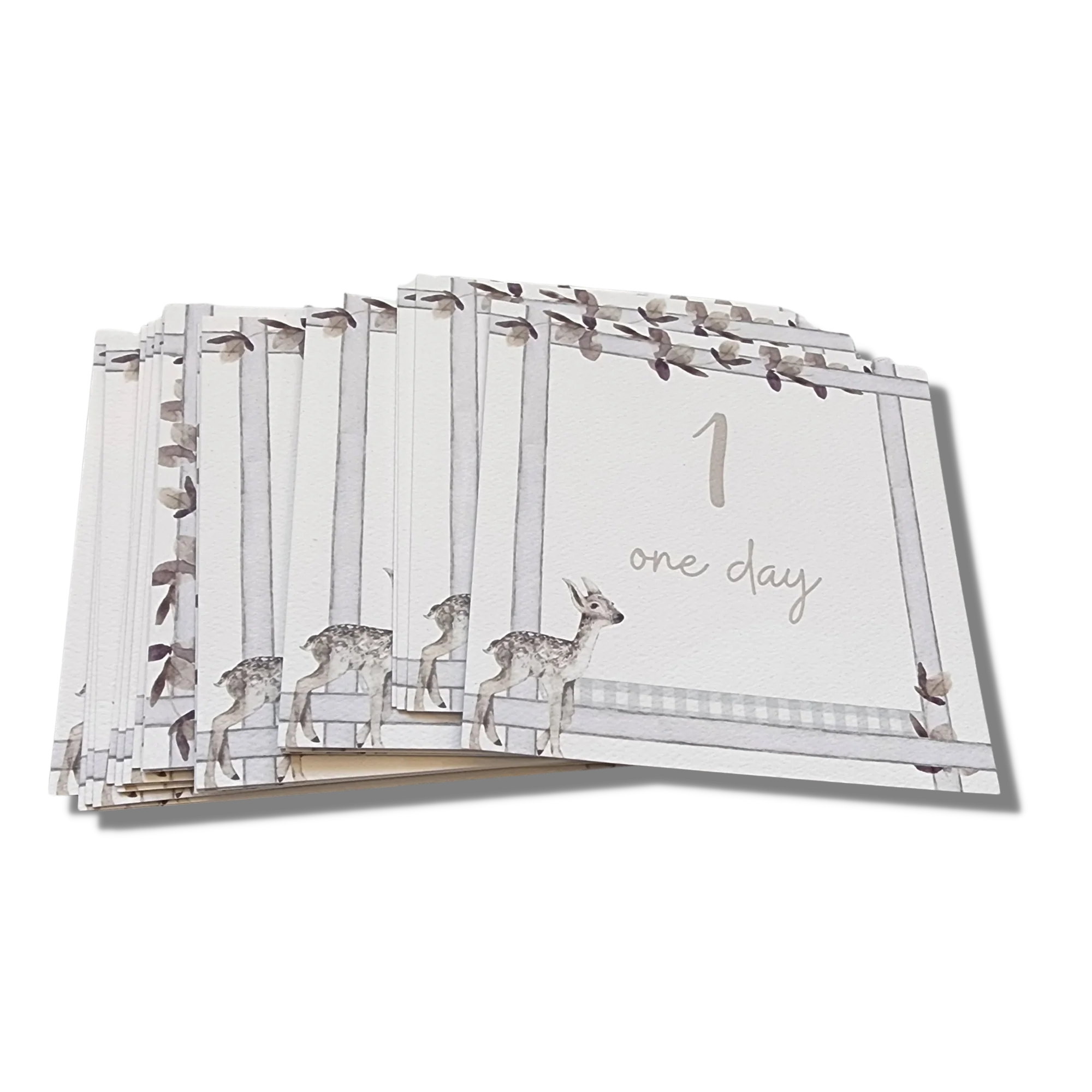 Infant Milestone + Memory Cards (0-12 months) - Image 4