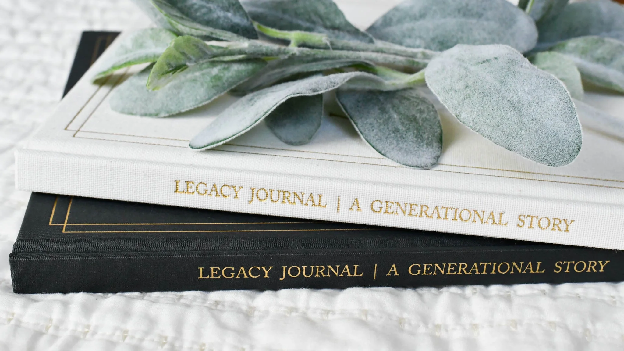 Legacy Journal - Image 9