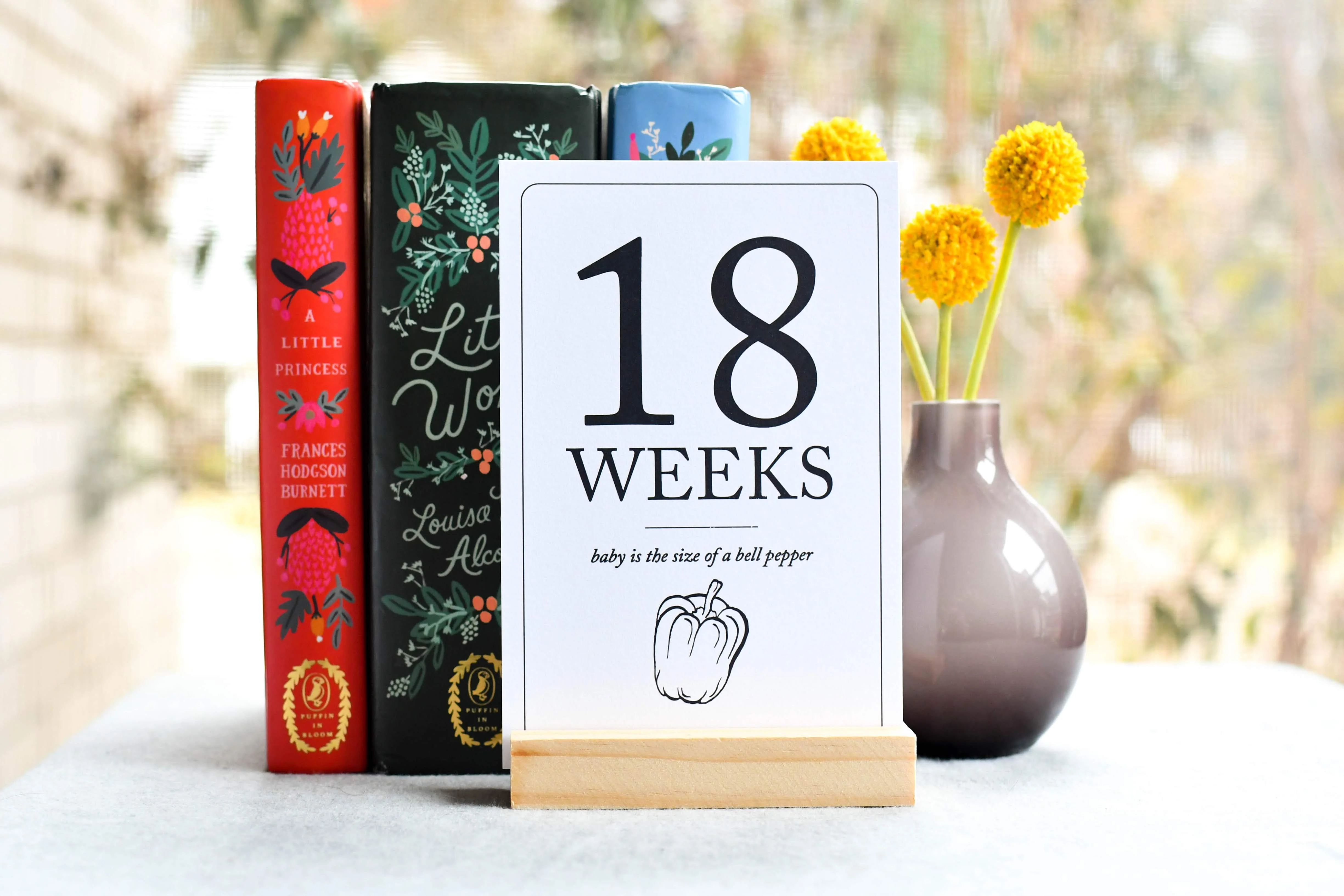 Pregnancy Milestone Cards | Baby Announcement | Expecting Mom Gift - Image 10