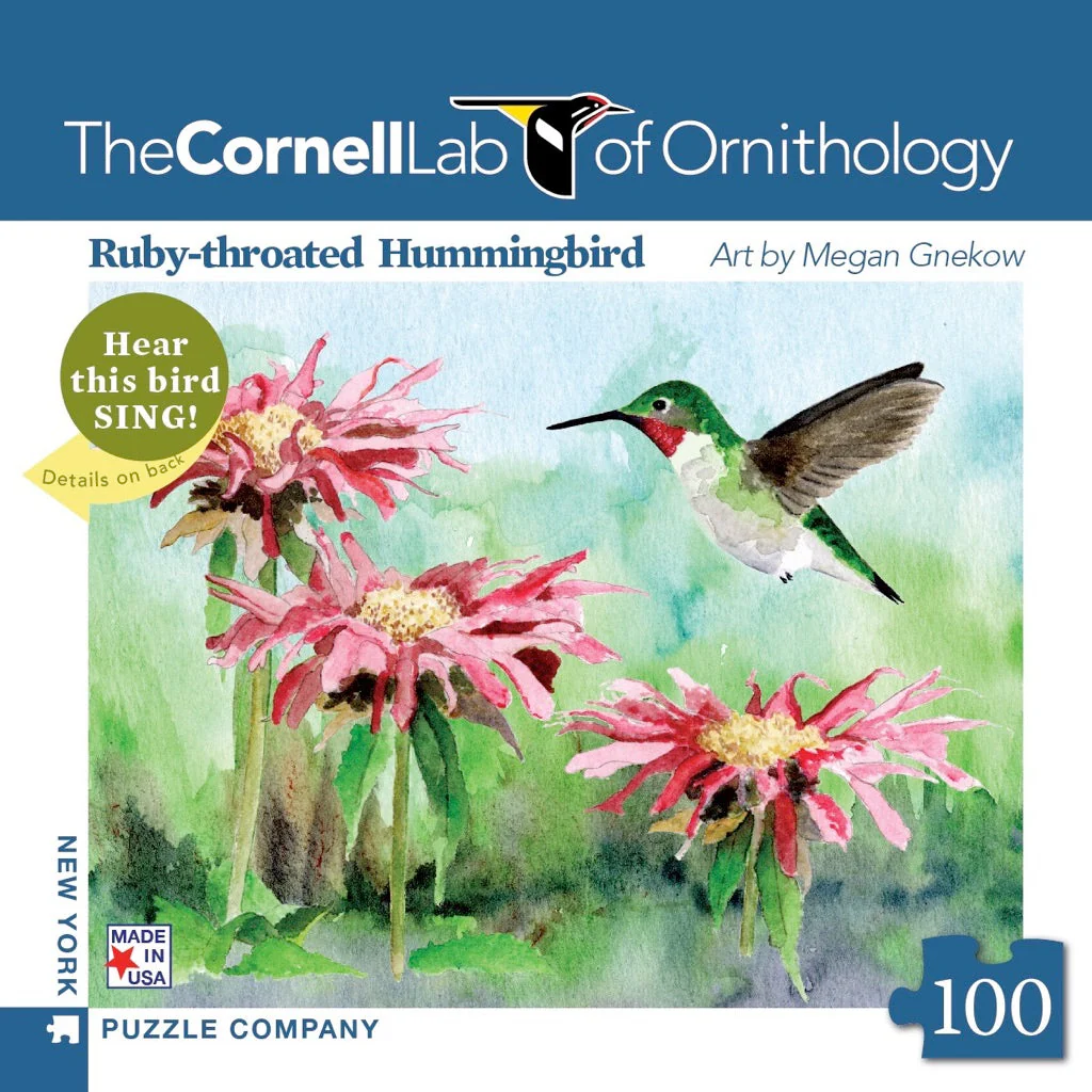Ruby-throated Hummingbird Mini - Image 2