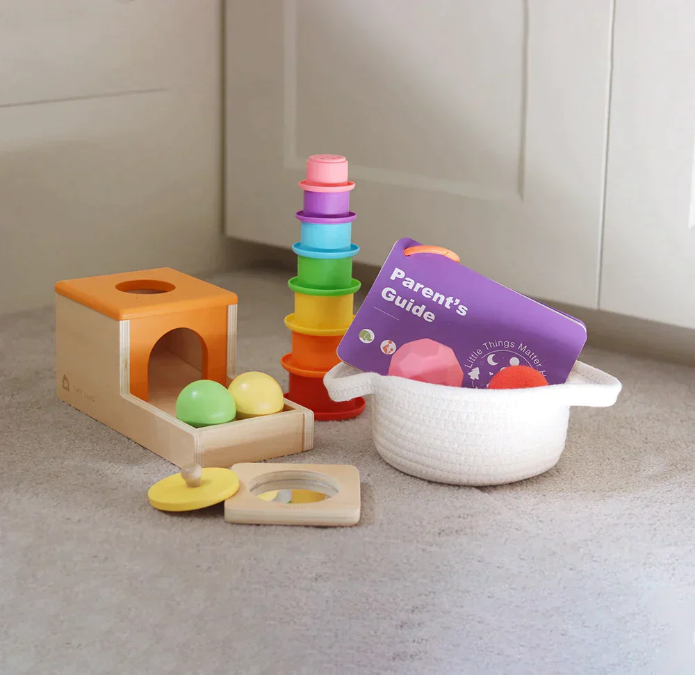 Tiny Land® Montessori Toys Set for Newborns (6-9 month) - Image 5