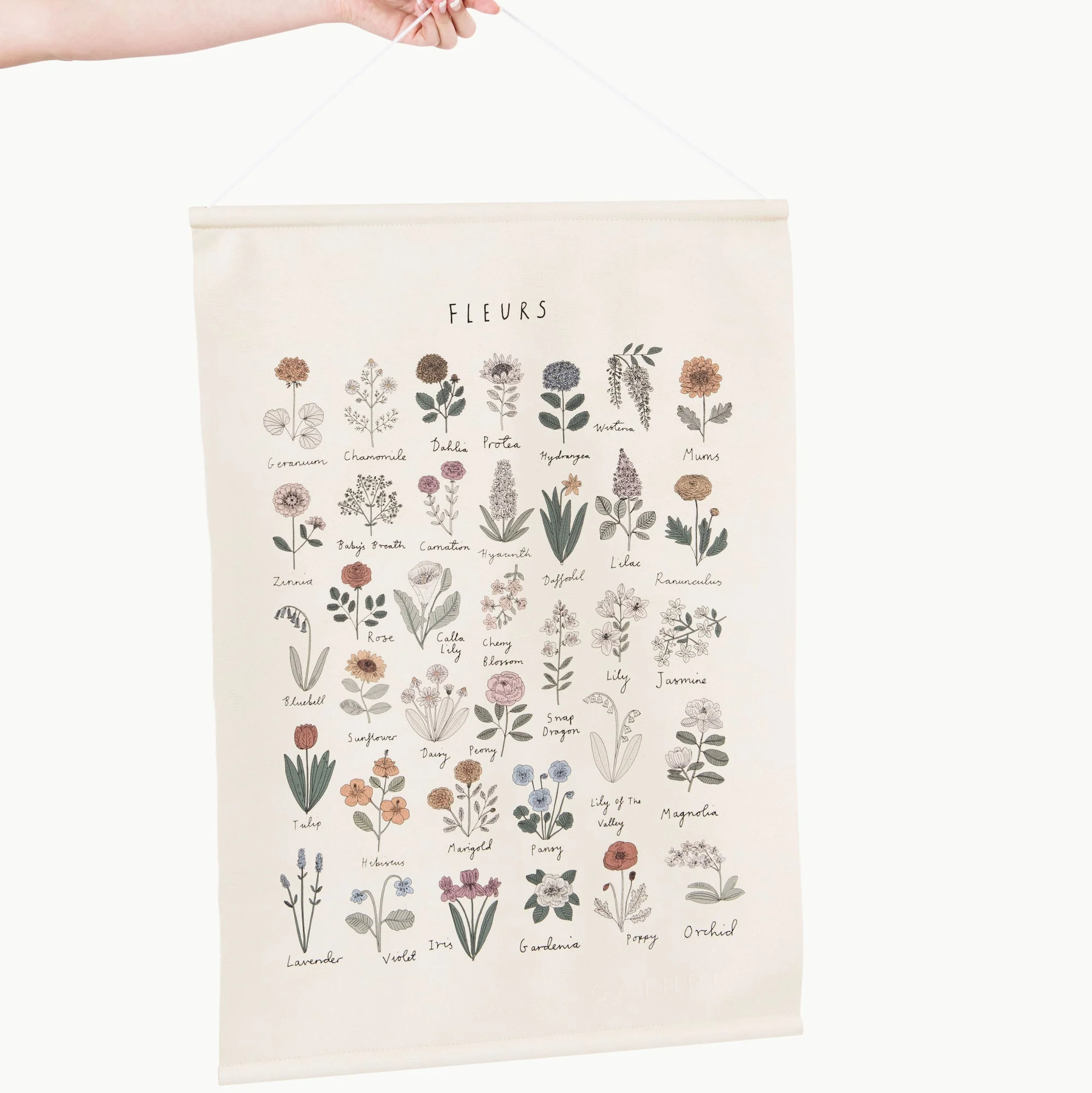 Poster - Image 4
