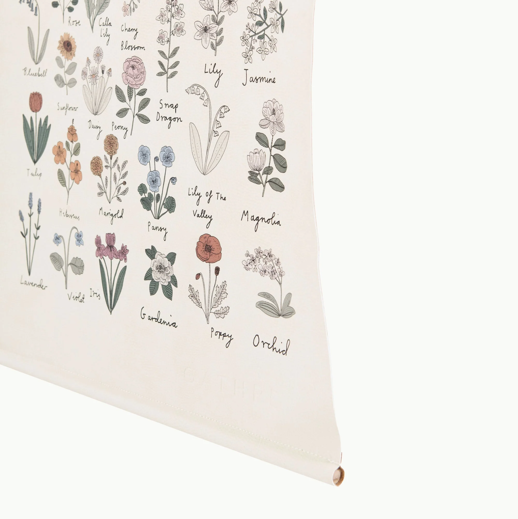 Poster - Image 5